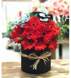 Kutuda Kırmızı Gerberalar